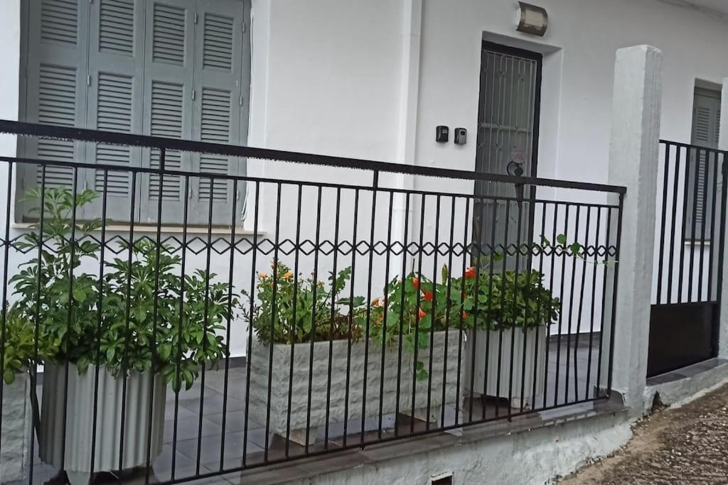 Apartment House Arta